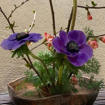 Ikebana workshop